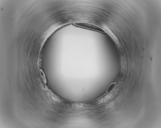 X0000087390956200705111757