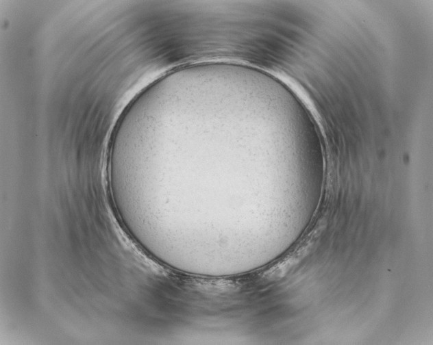 X0000087390957200705111757