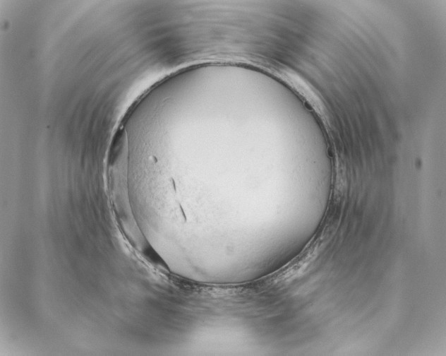 X0000087390958200705111757