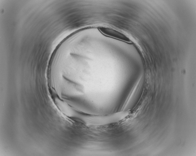 X0000087390959200705111757