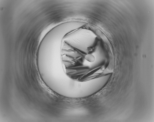 X0000087390960200705111757