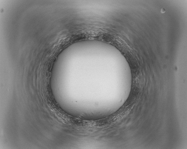 X0000087390961200705111756