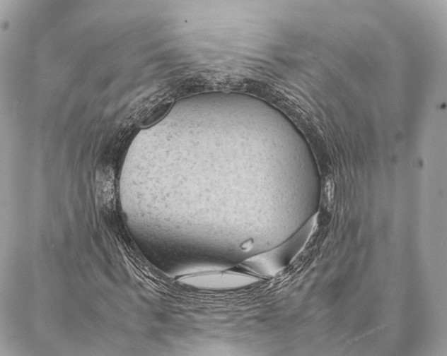 X0000087390963200705111756