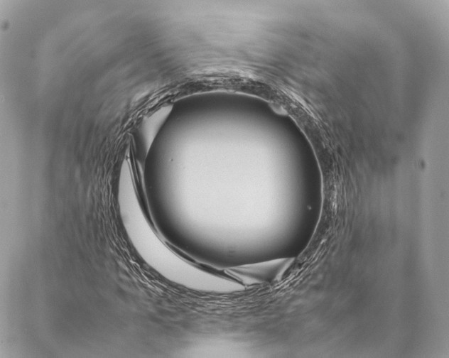 X0000087390965200705111756