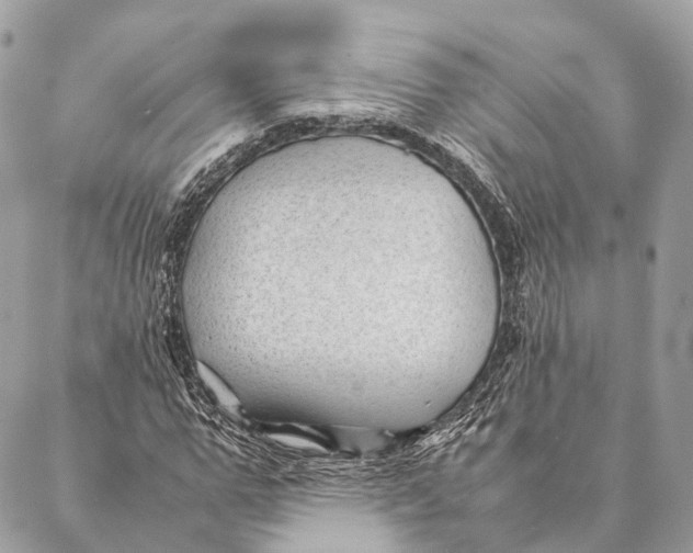 X0000087390967200705111756