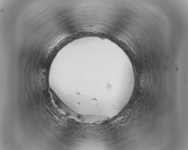 X0000087390968200705111756