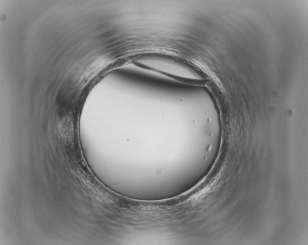 X0000087390969200705111756