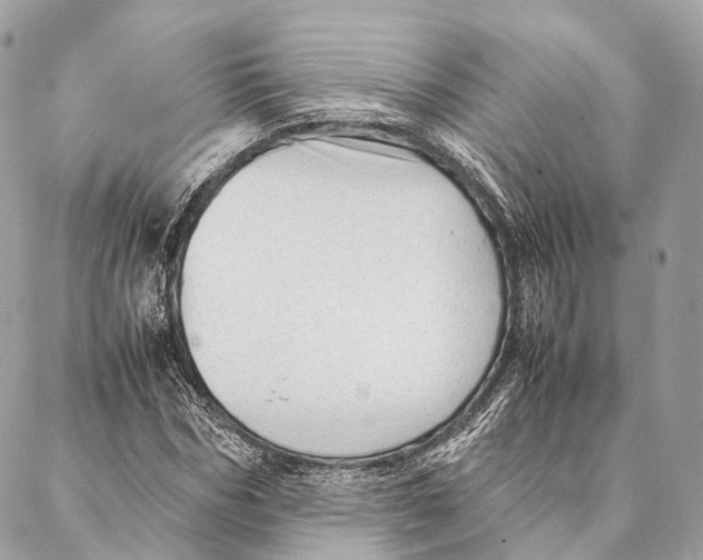 X0000087390970200705111756