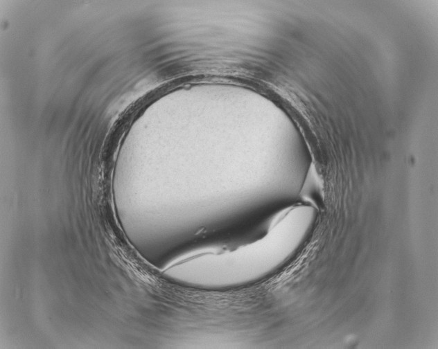 X0000087390971200705111756