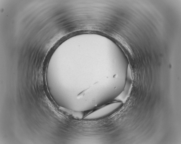 X0000087390972200705111756