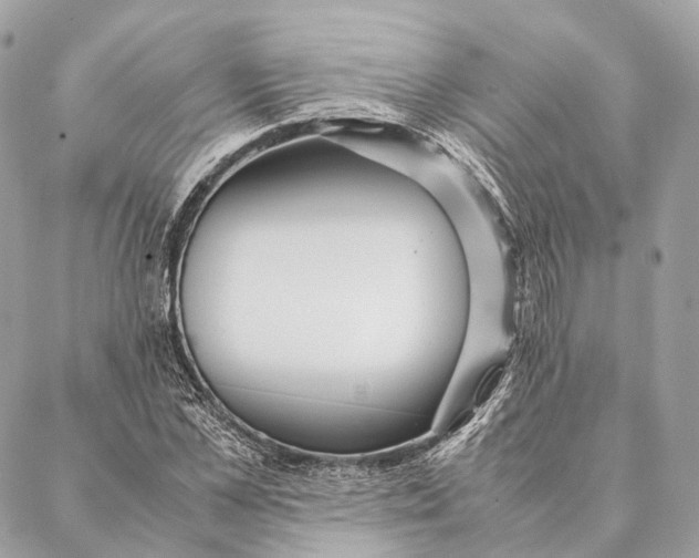 X0000087390973200705111756