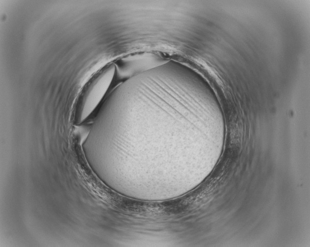 X0000087390975200705111756