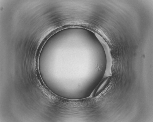 X0000087390976200705111756