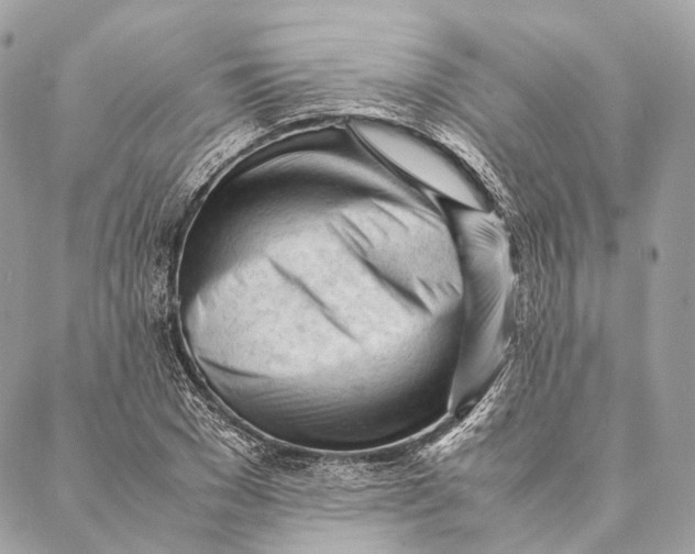 X0000087390977200705111756