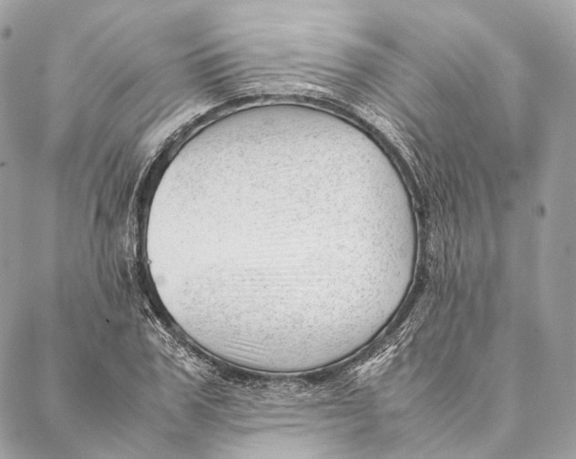 X0000087390979200705111756