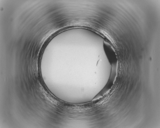 X0000087390980200705111756