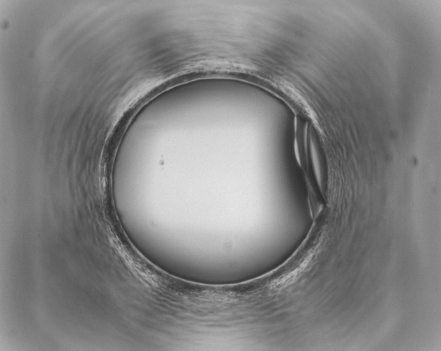 X0000087390981200705111756