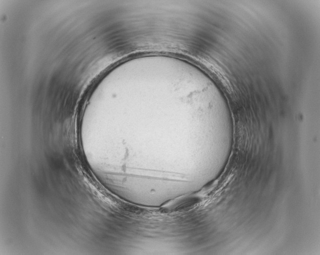 X0000087390982200705111756