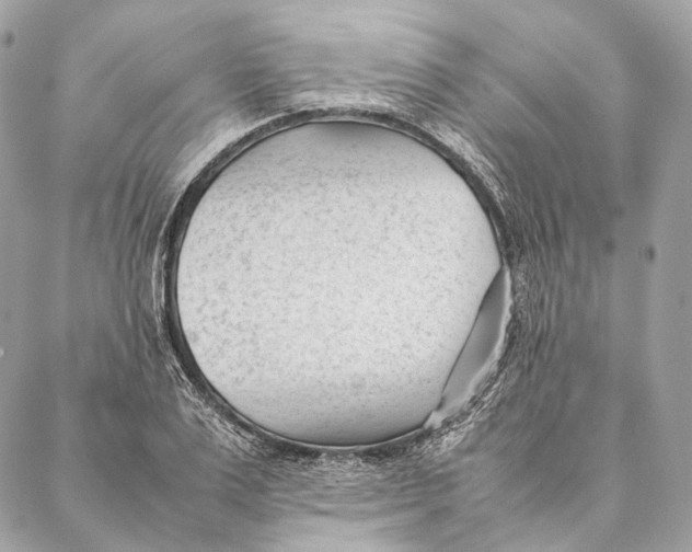 X0000087390983200705111756