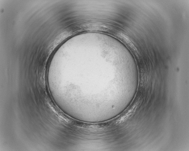 X0000087390986200705111756