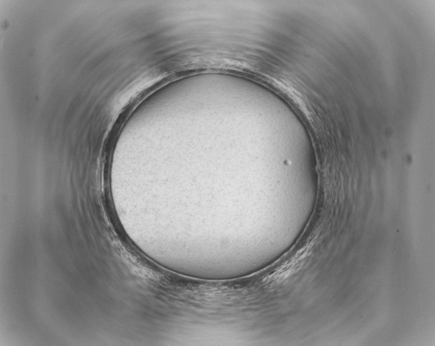 X0000087390987200705111756