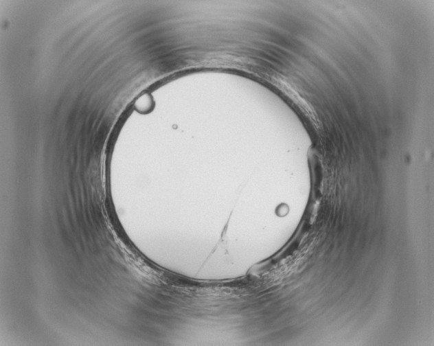 X0000087390988200705111756