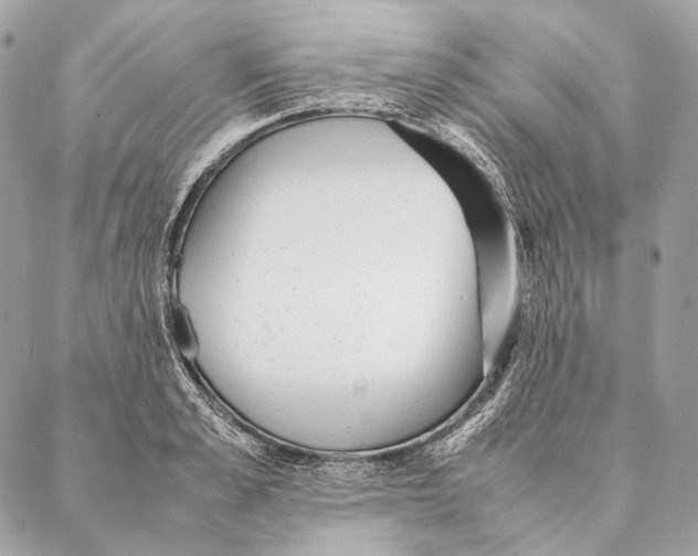 X0000087390989200705111756