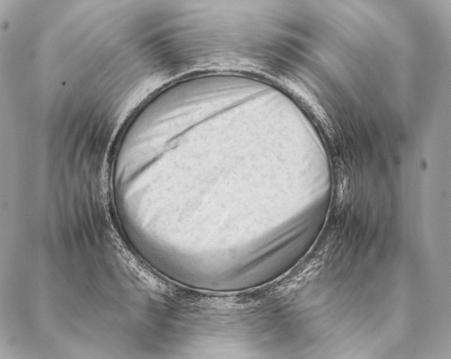 X0000087390990200705111756