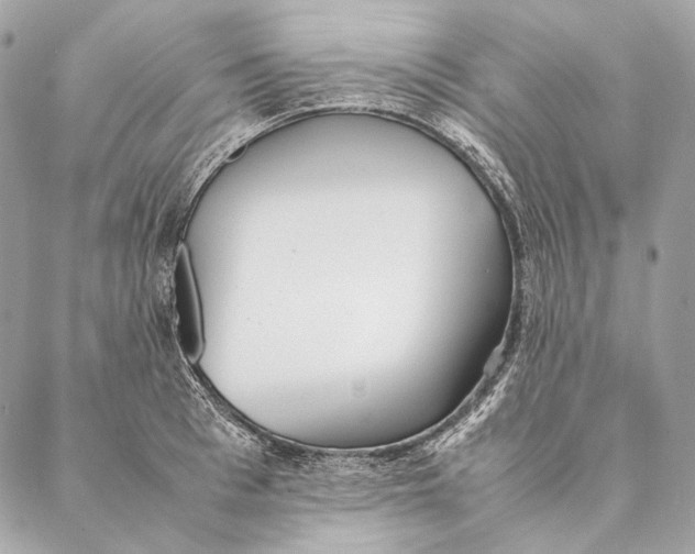 X0000087390993200705111756