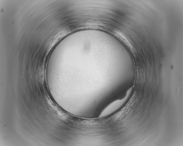 X0000087390994200705111756