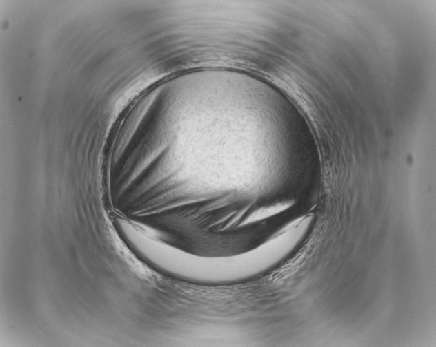 X0000087390995200705111756