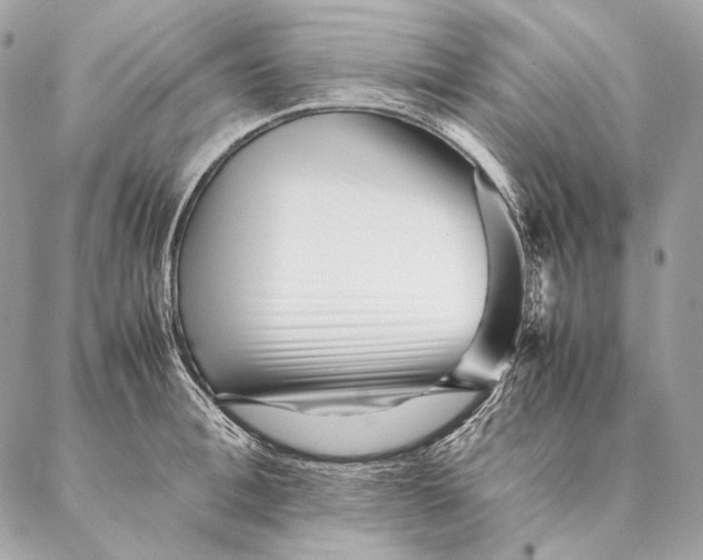 X0000087390996200705111756