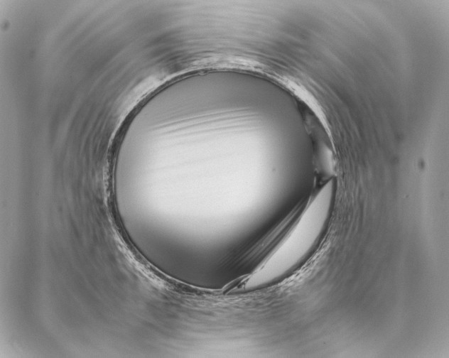 X0000087390997200705111756