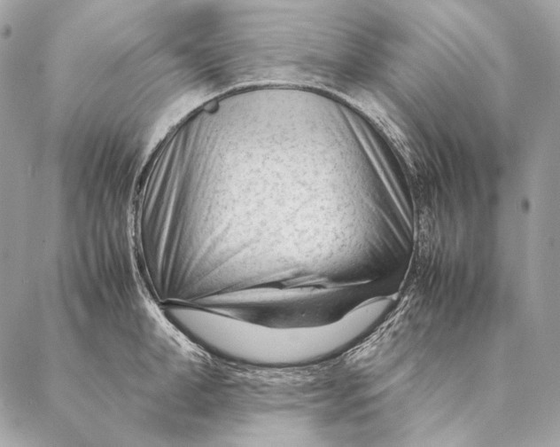 X0000087390998200705111756