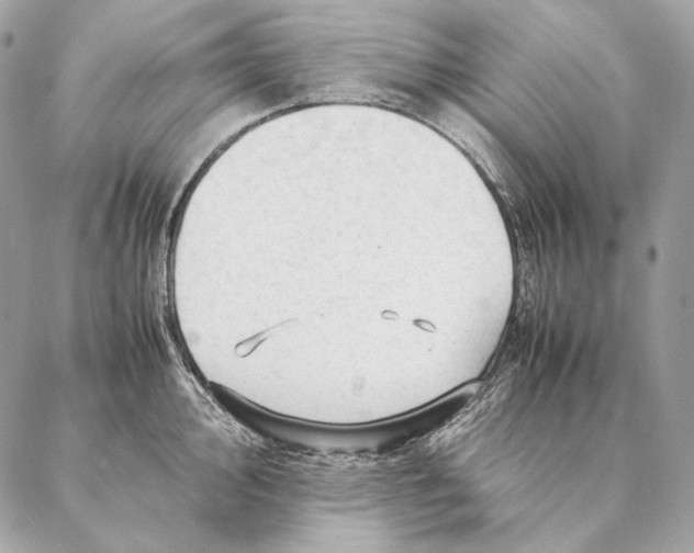 X0000087391000200705111756