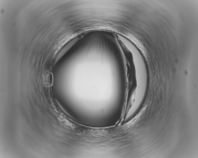 X0000087391001200705111756