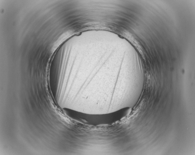 X0000087391002200705111756