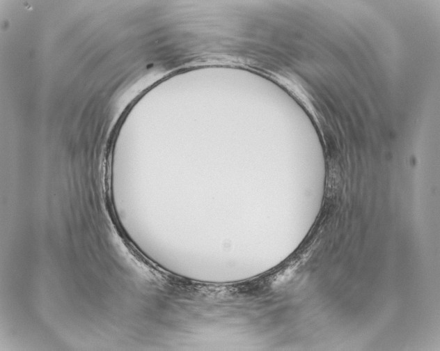 X0000087391003200705111756