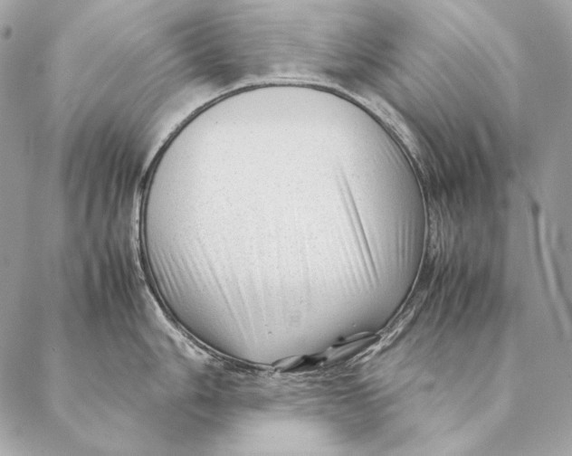 X0000087391006200705111756