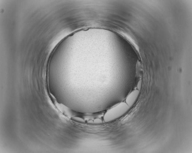 X0000087391007200705111756