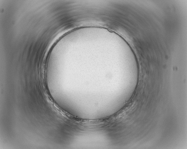 X0000087391008200705111756