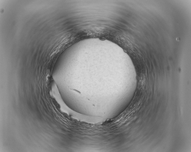 X0000087391012200705111755