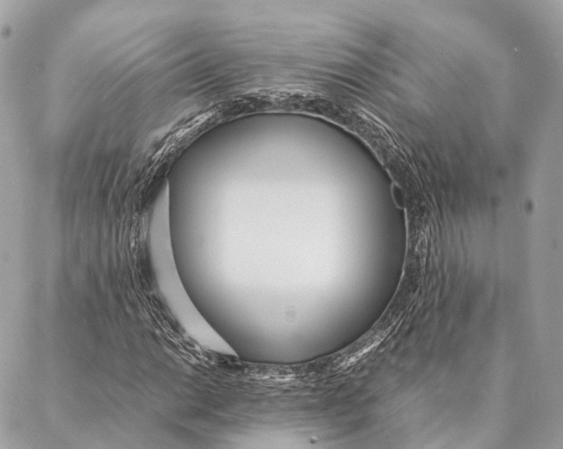 X0000087391014200705111755