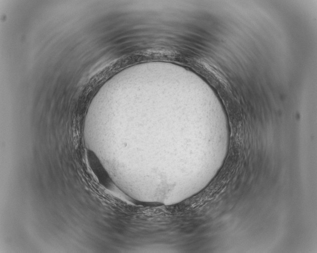 X0000087391015200705111755