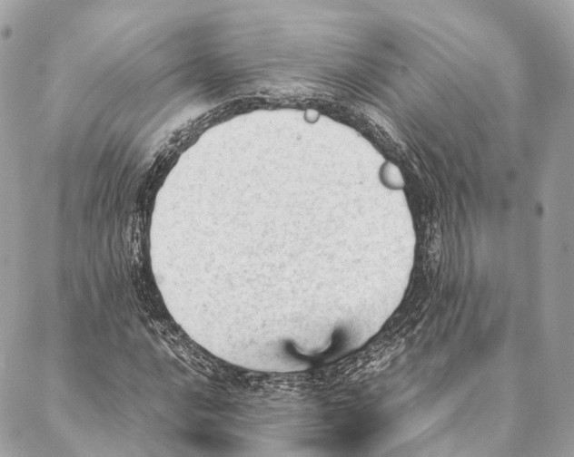 X0000087391016200705111755