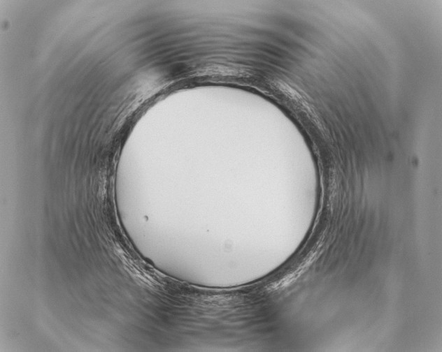 X0000087391017200705111755