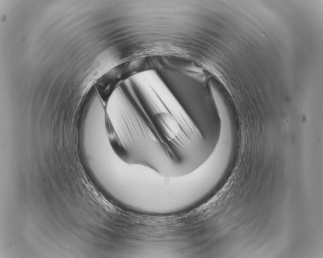 X0000087391018200705111755