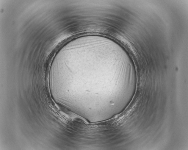 X0000087391019200705111755