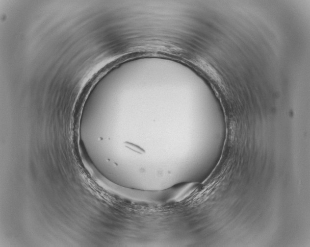 X0000087391020200705111755