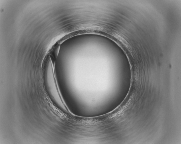 X0000087391022200705111755